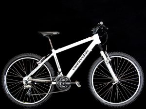Cannondale - Medium