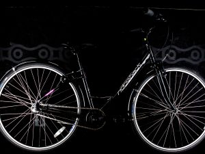Ridgeback - Avenida - Small