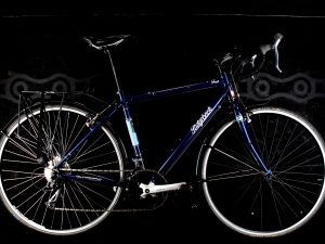 Ridgeback - Four - Small