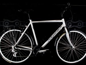Ridgeback - Rapide Motion - XL