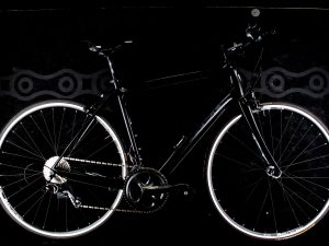 Trek - FX series 7.7 - Large