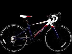Wiggins - Rouen 540 - Kids 24in