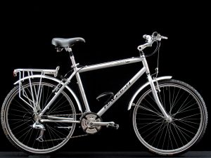 Raleigh - Spirit -Medium