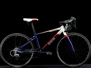 Wiggins - Rouen 540 - kids 24in