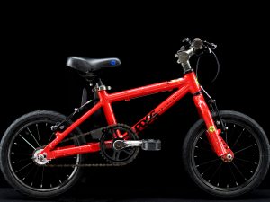 Frog - Frog 43 - Kids 14in