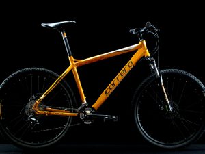 Carrera - Vengeance - X Large