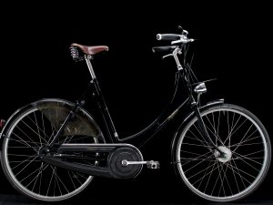 Pashley - Pashley - Large