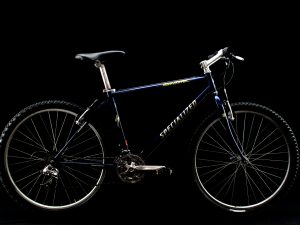 Specialized - RockHopper - Large