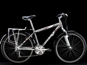 Giant - Rock - Small