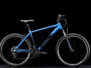 Ridgeback - T two - Large