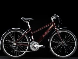 Pendleton - Brooke - Small