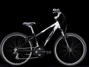 Gary Fisher - Capitola - Small