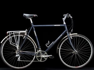 Ridgeback - Adventure - Large