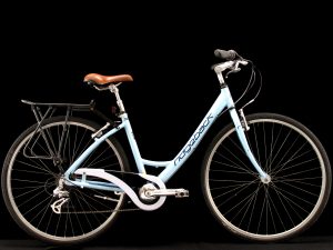 Ridgeback - Avenida 6 - Medium