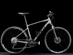 Giant - Roam - Large