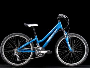 Ridgeback - Destiny - Kids 24in