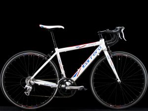 Carrera - Virtuoso Ltd - Medium