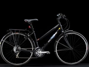 Specialized - Globe - Medium