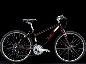 Pendleton - Brooke - Small