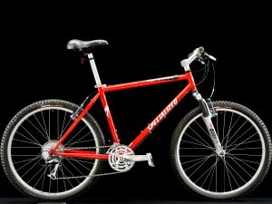 Specialized - Rockhopper - Large